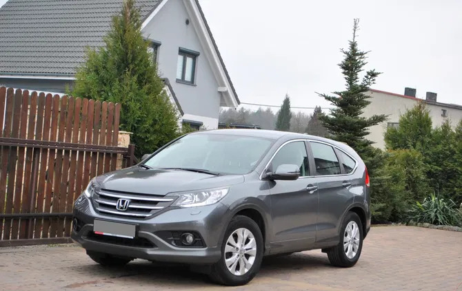 honda Honda CR-V cena 62800 przebieg: 155100, rok produkcji 2013 z Orzesze